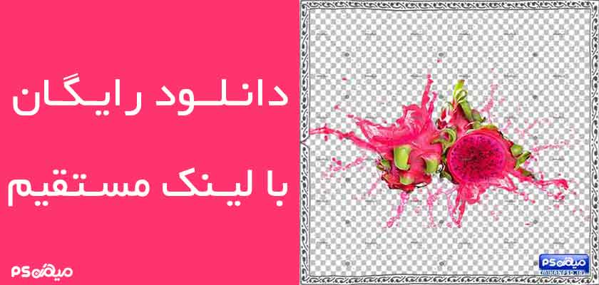 دانلود وکتور میوه اژدها