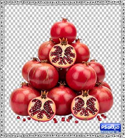 دانلود وکتور انار