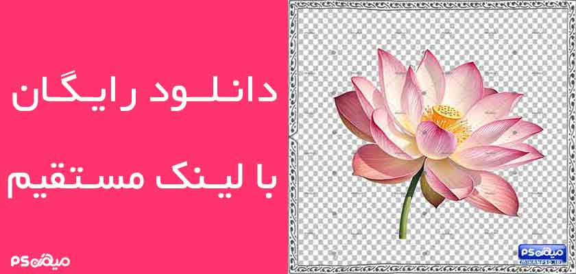 دانلود وکتور سه بعدی گل