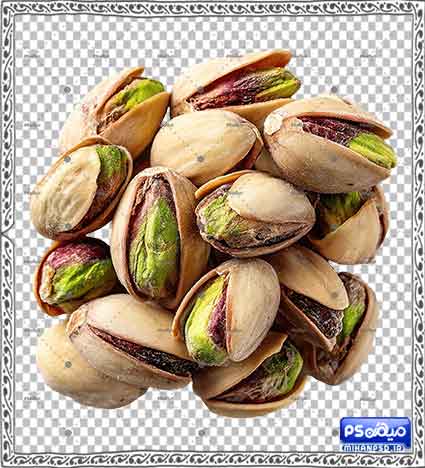 وکتور png پسته