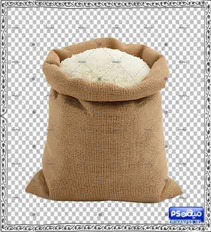 دانلود وکتور برنج