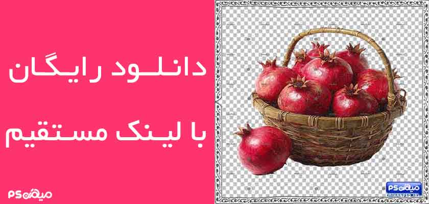 دانلود وکتور سبد انار