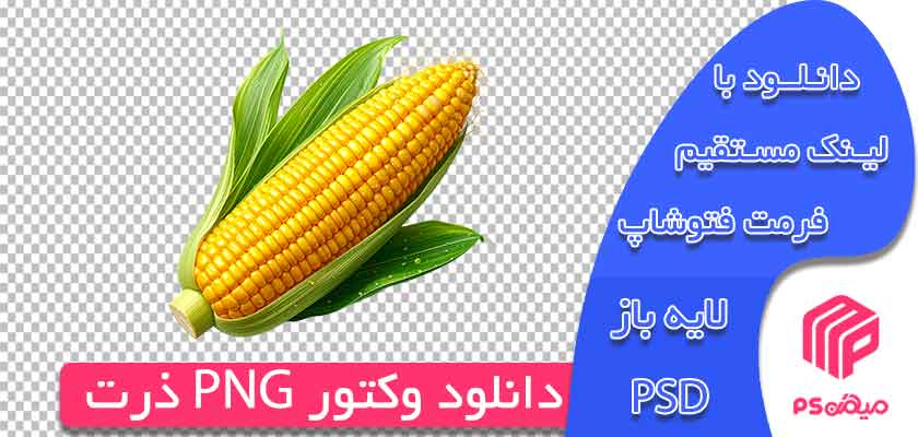 دانلود PNG ذرت