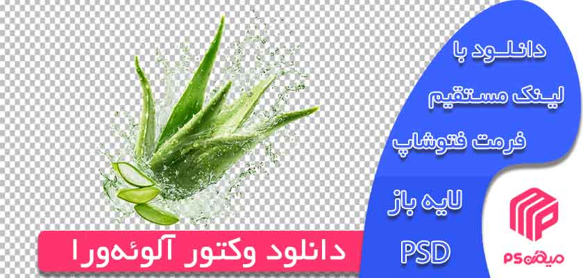 دانلود وکتور آلوئهورا
