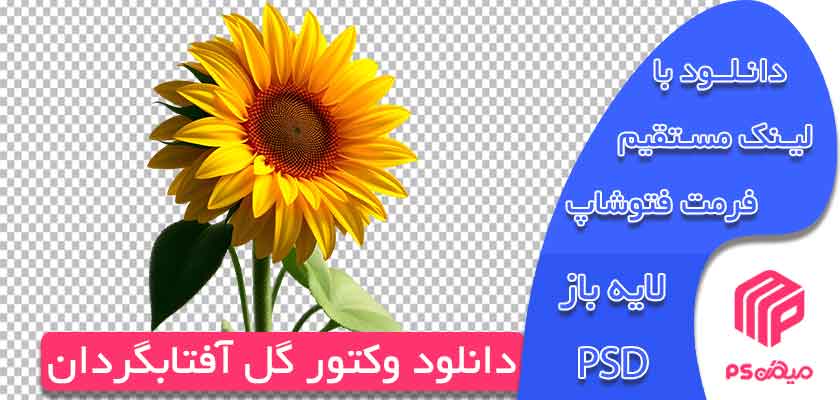 دانلود وکتور گل آفتابگردان