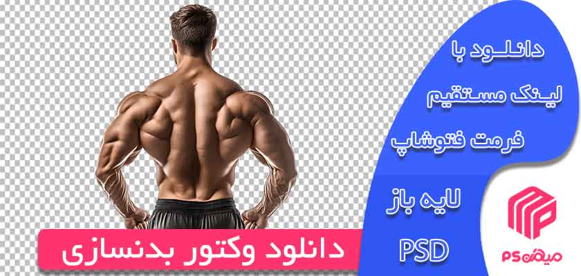 طرح وکتور بدنسازی