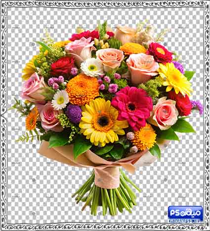وکتور png گل