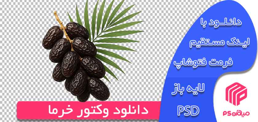 دانلود وکتور خرما با فرمت png اماده جهت استفاده