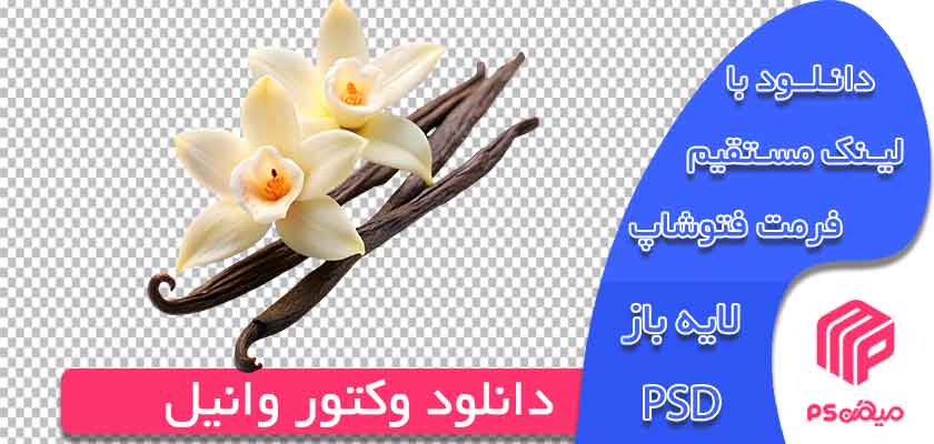 دانلود وکتور وانیل