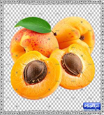 وکتور png زردآلو