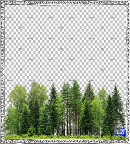 وکتور png جنگل