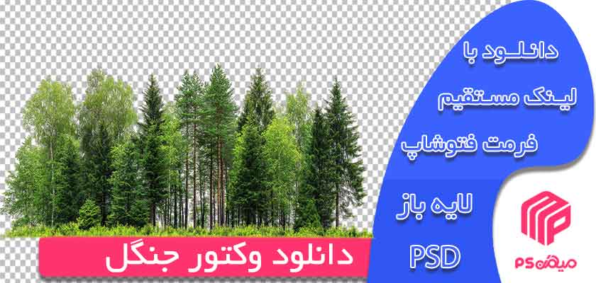 دانلود وکتور جنگل
