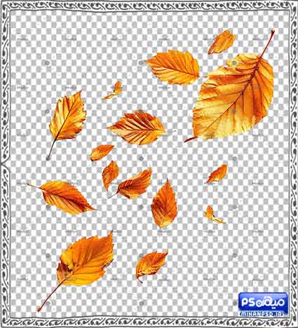 وکتور png پاییز لایه باز مناسب طراحی